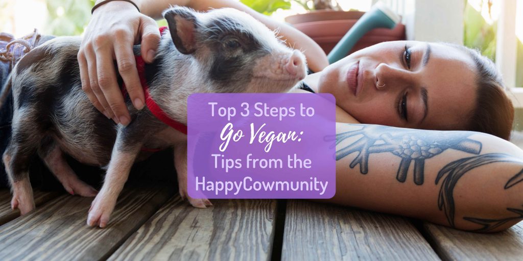 3 Steps to Go Vegan 3 steps to go vegan