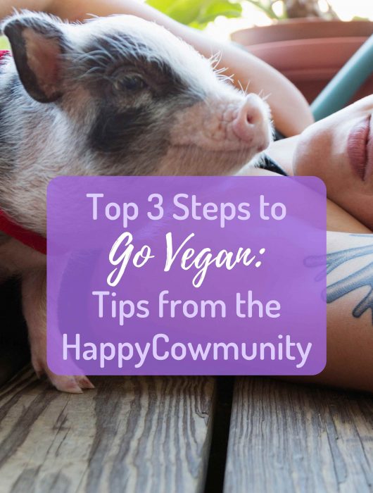 3 steps to go vegan