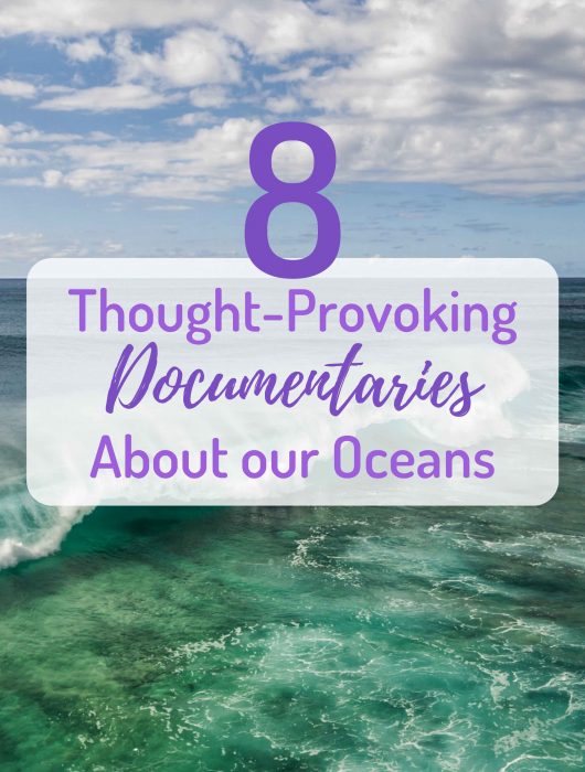 World Ocean Day 2022 - documentaries on our oceans