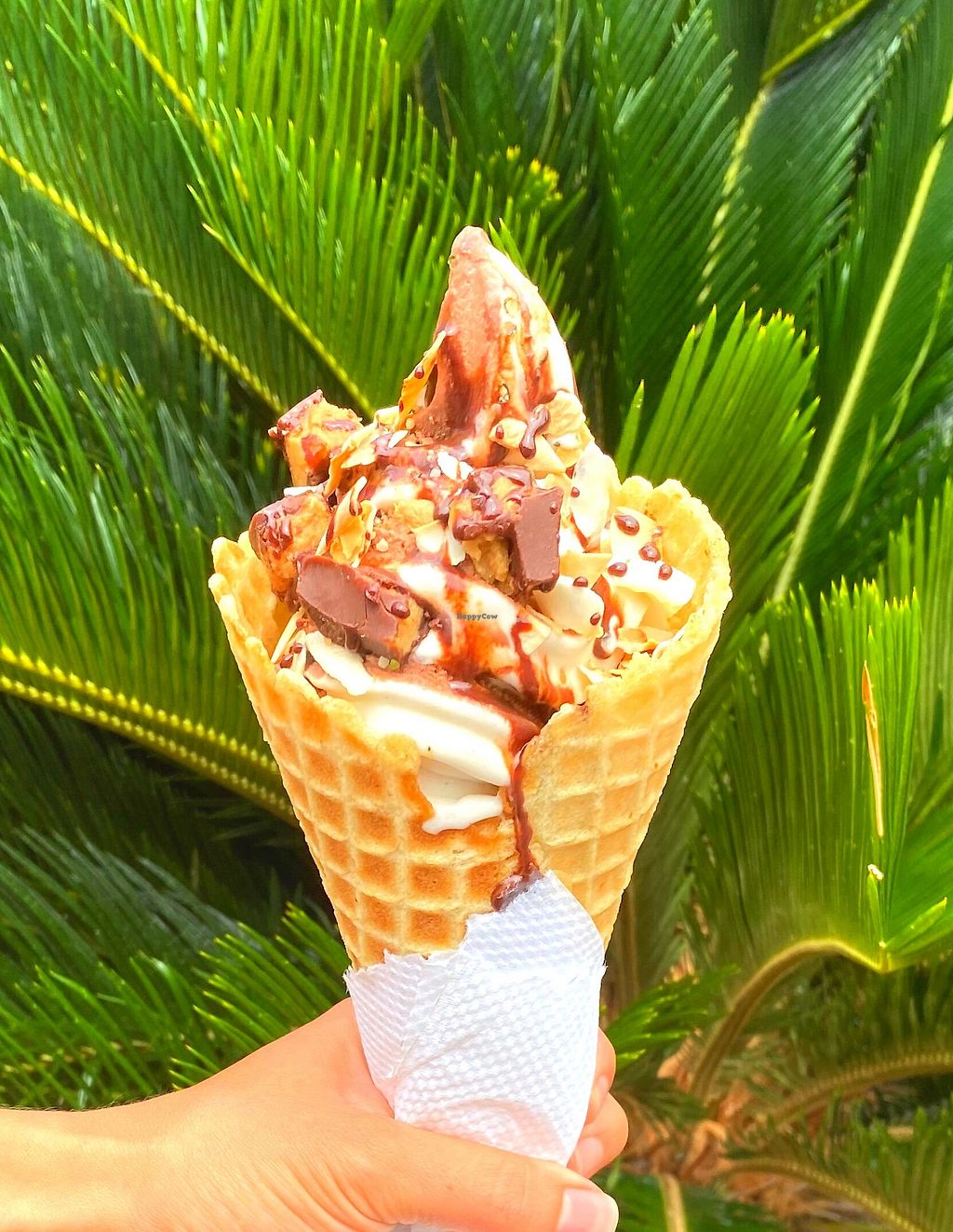 BestVeganIceCreamHawaii HappyCow