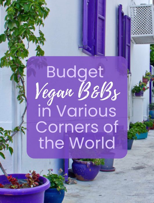 Budget Vegan B&Bs all around the world