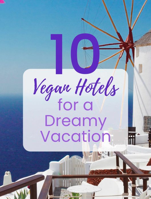 Vegan Hotels Around the World