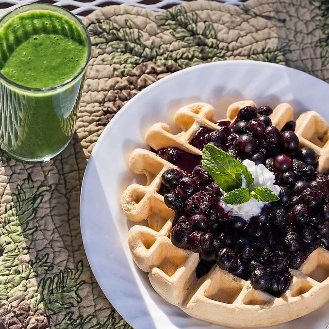 vegan bnbs in the US
