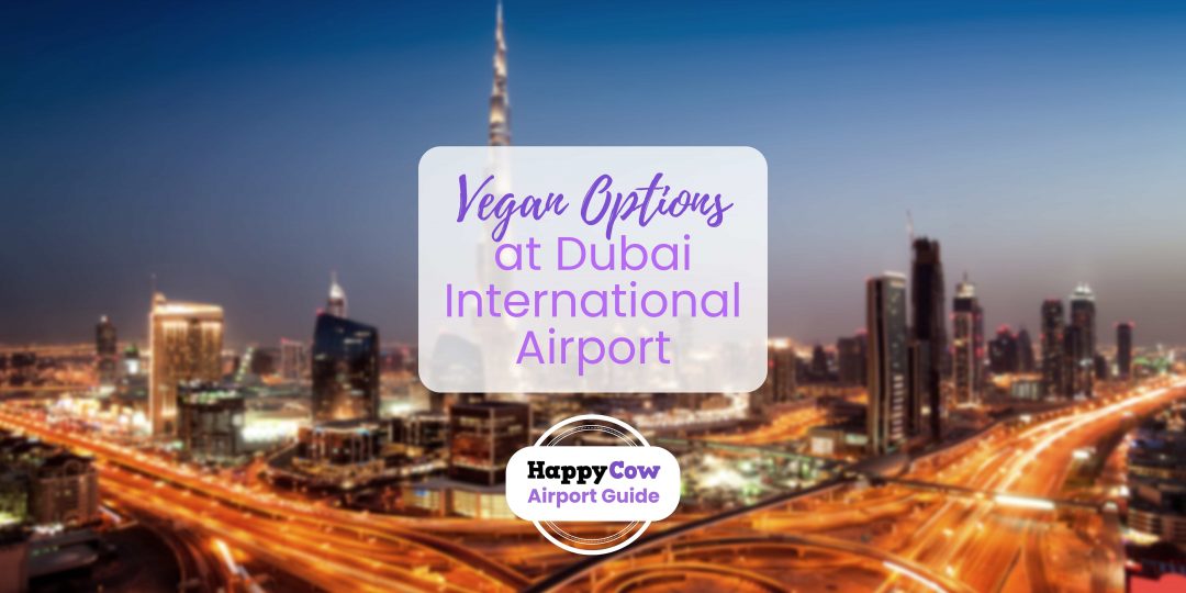 vegan options at dubai airport dxb