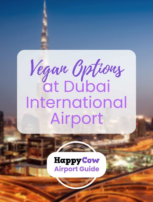vegan options at dubai airport dxb