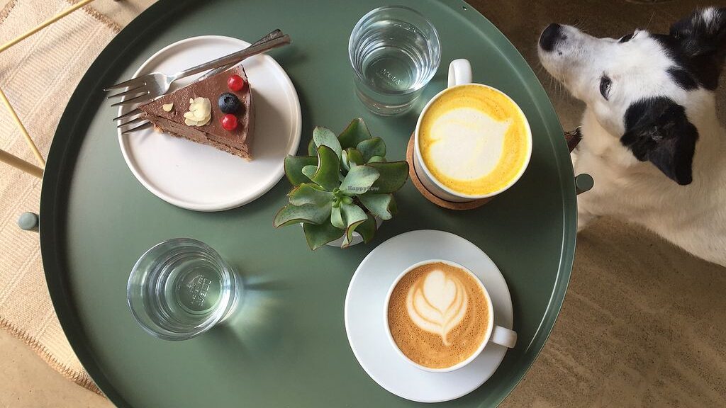 cozy vegan cafes in Berlin