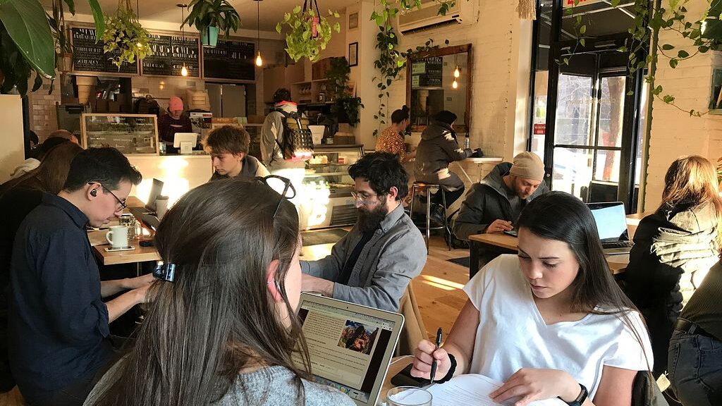 cozy vegan cafes in Brooklyn