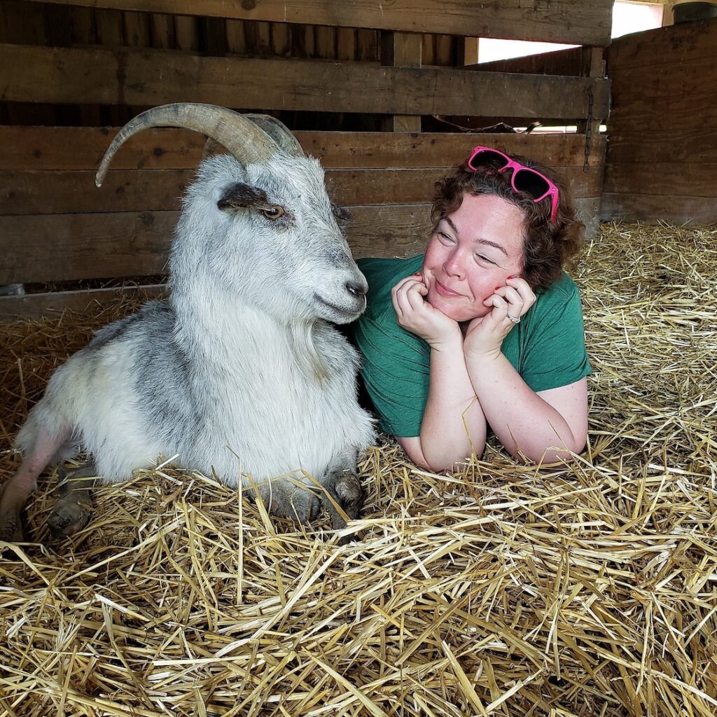 Farm Sanctuaries in USA