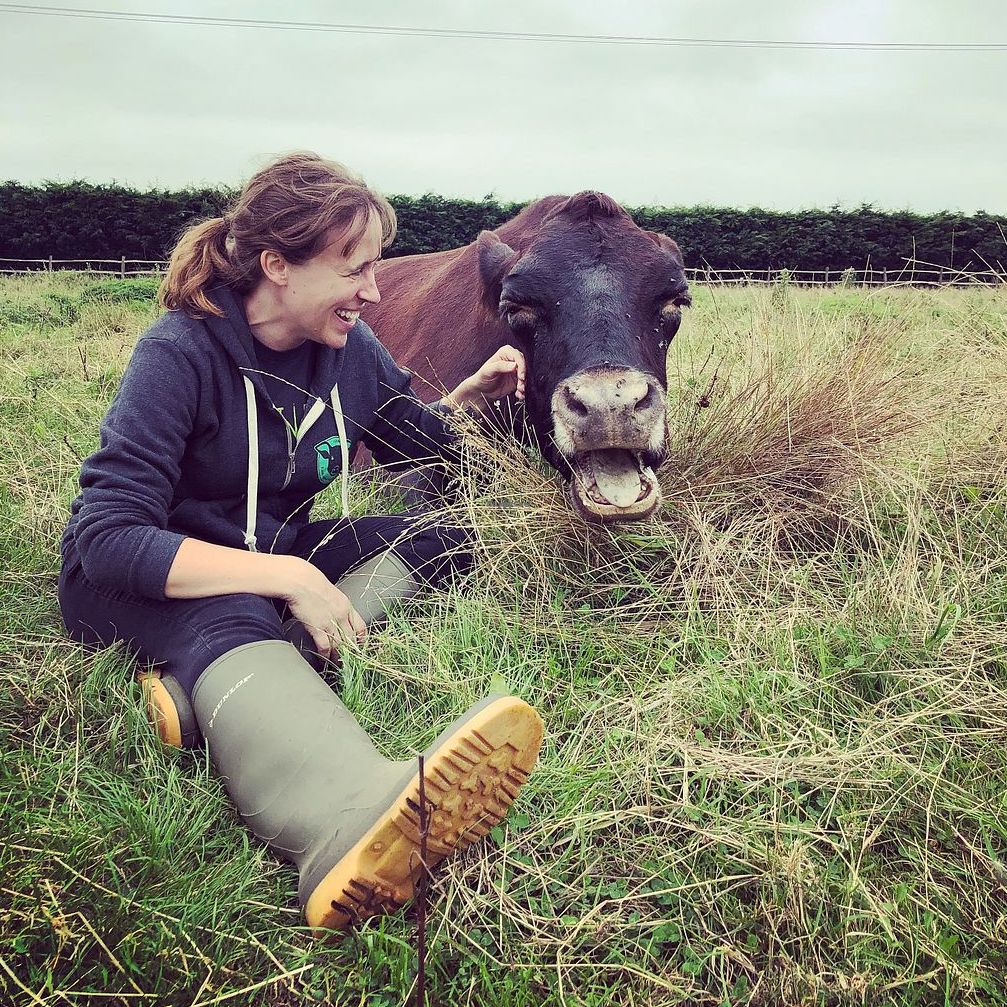 Farm Sanctuaries in England