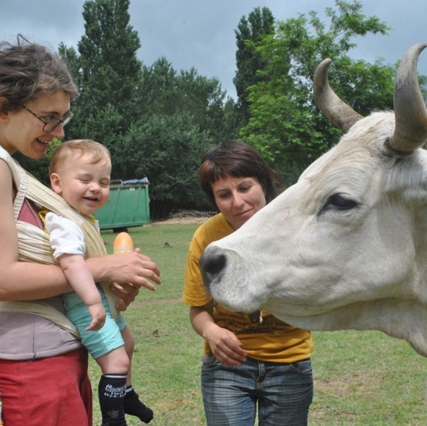 Farm Sanctuaries in Italy Farm Sanctuaries in Italy