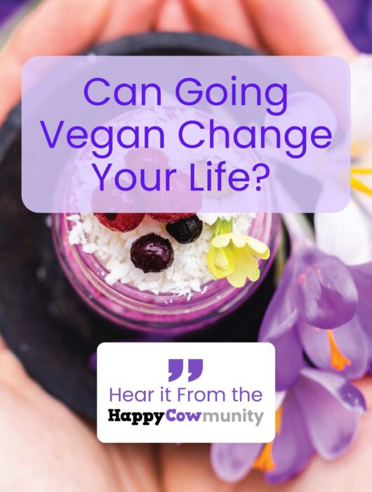 Go vegan for veganuary