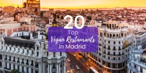 Top 20 Most Popular Vegan Restaurants in Madrid