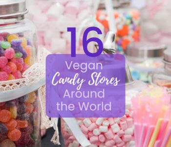 vegan candy stores