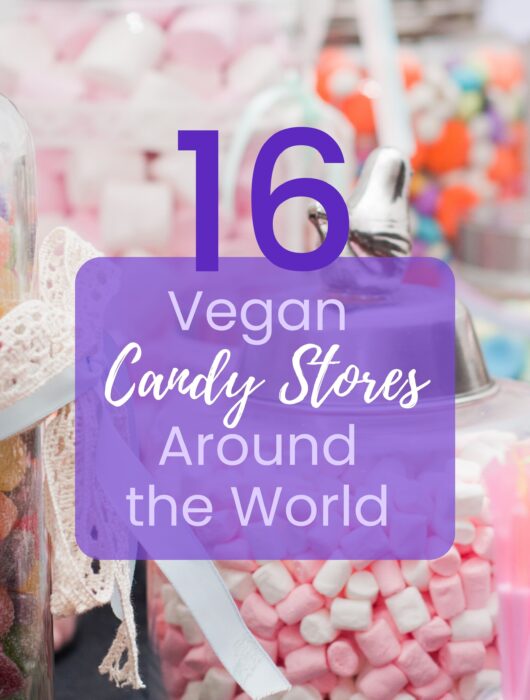 vegan candy stores