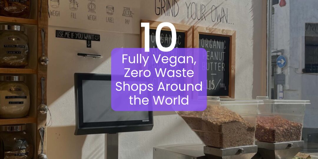vegan zero waste shops