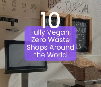 vegan zero waste shops