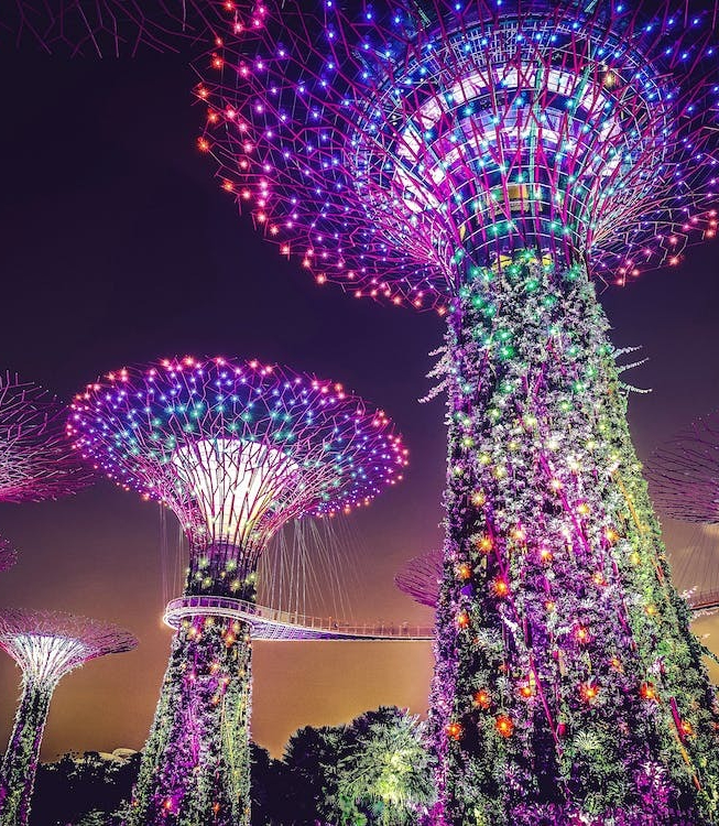 Vegan Top City Tel Aviv