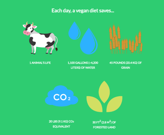 Go Vegan and save!